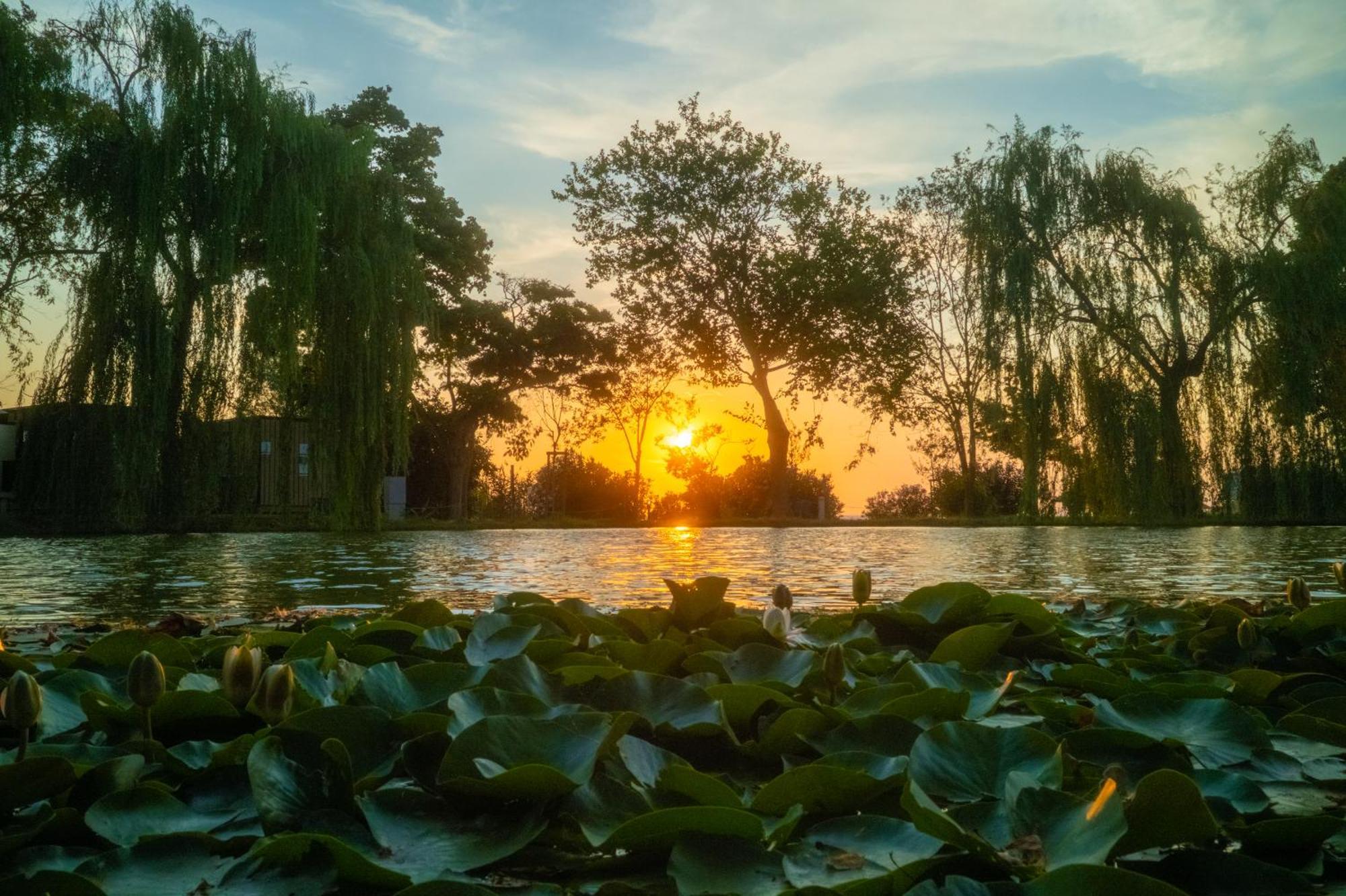 Trasimeno Glamping Resort Magione Zewnętrze zdjęcie